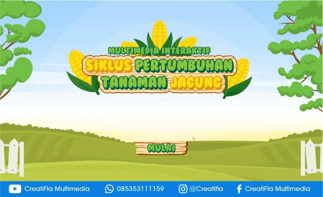 jasa Multimedia Interaktif Siklus Pertumbuhan Tanaman Jagung